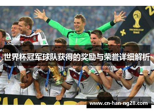 世界杯冠军球队获得的奖励与荣誉详细解析