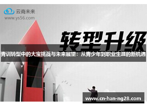 青训转型中的大宝挑战与未来展望：从青少年到职业生涯的新机遇