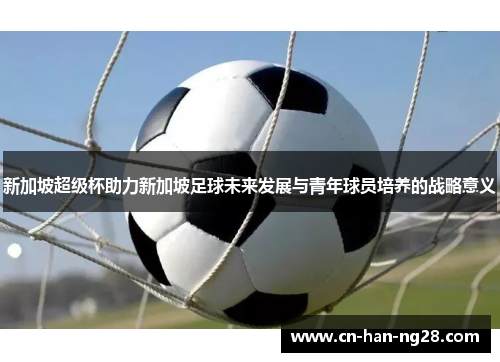 新加坡超级杯助力新加坡足球未来发展与青年球员培养的战略意义