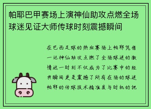 帕耶巴甲赛场上演神仙助攻点燃全场球迷见证大师传球时刻震撼瞬间 帕耶巴甲赛场上演神仙助攻点燃全场球迷见证大师传球时刻震撼瞬间